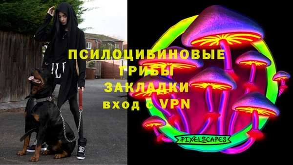 бошки Армянск