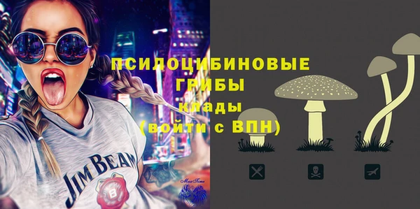 амф Приозерск